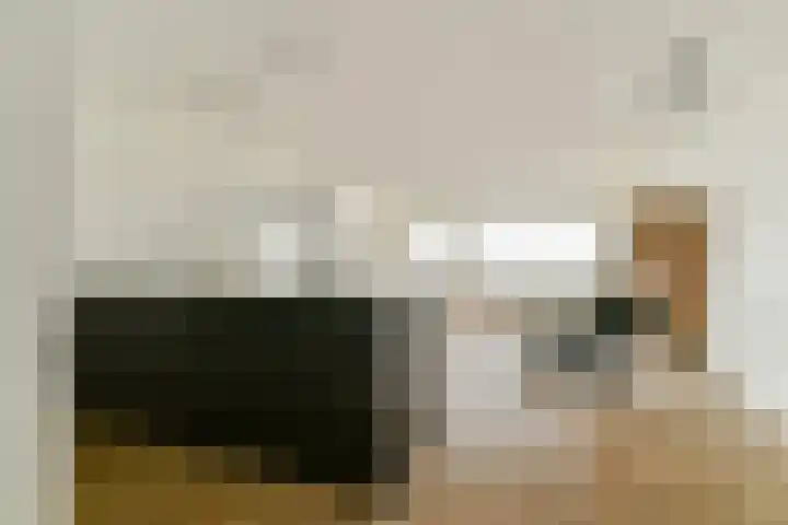 De Werf 111 Zwijndrecht thumbnail 6