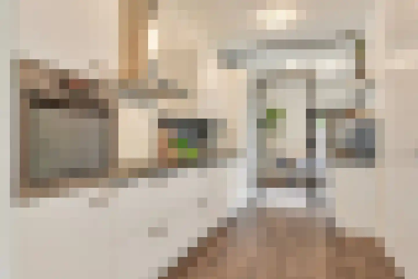 De Werf 147 Tilburg thumbnail 11