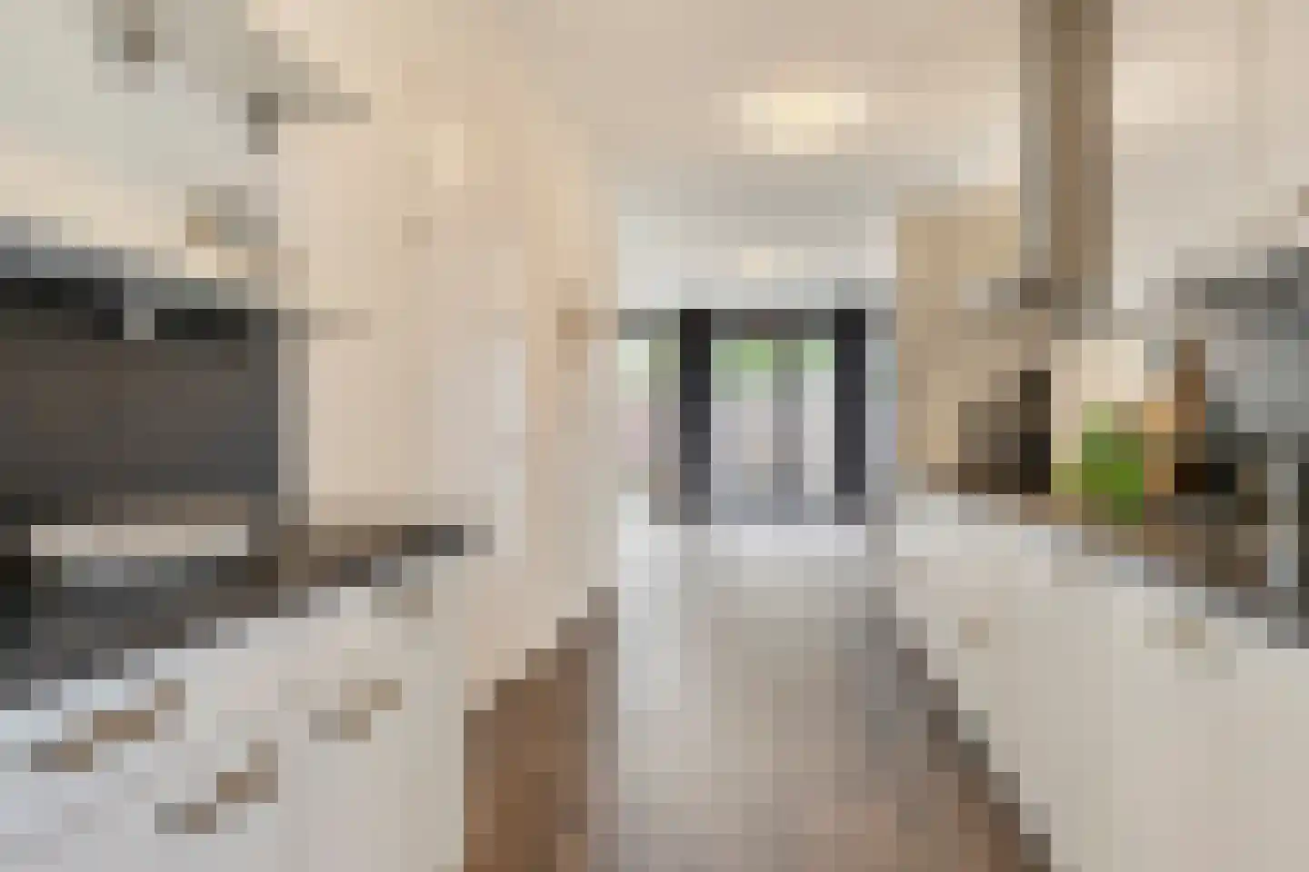 De Werf 147 Tilburg thumbnail 12