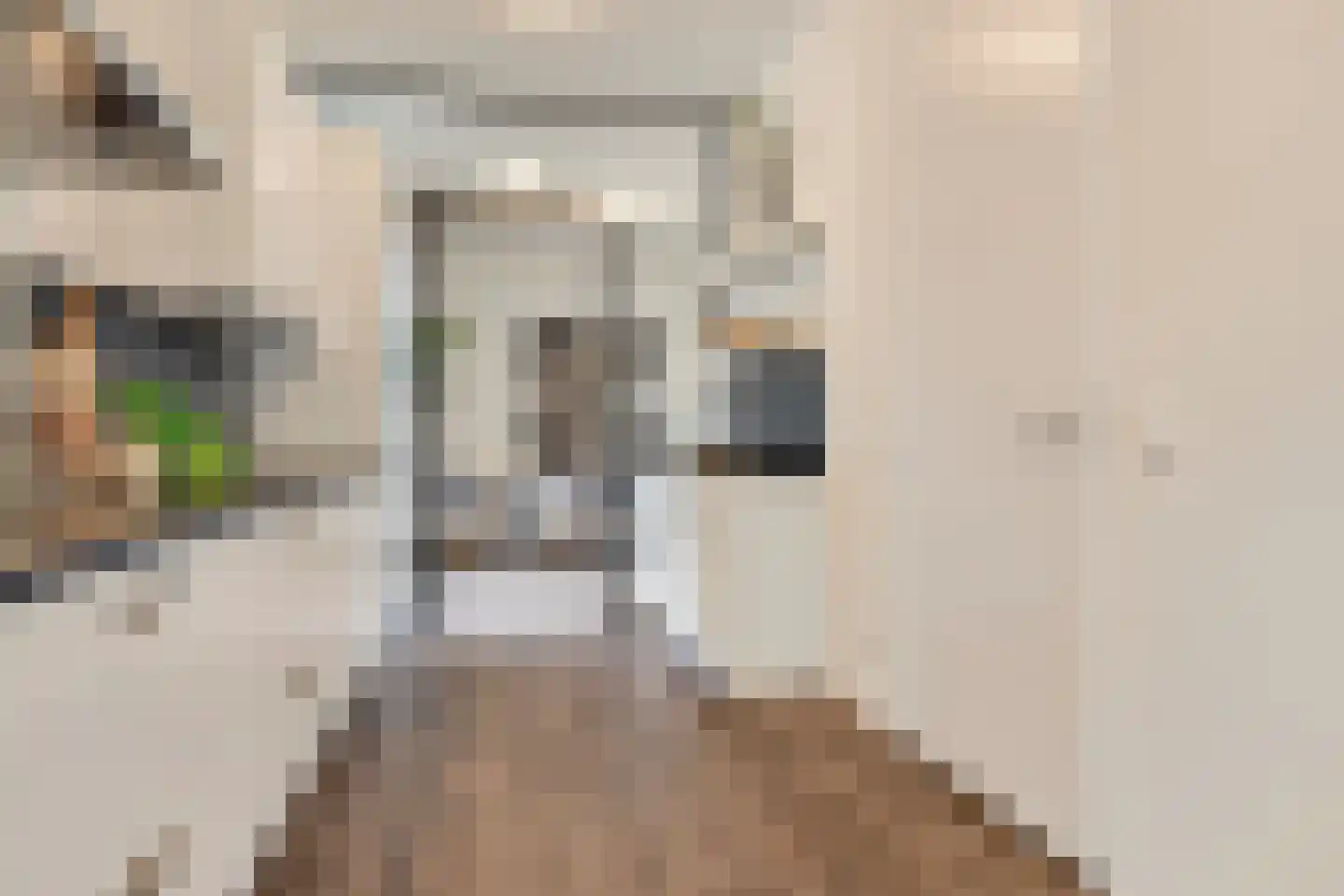 De Werf 147 Tilburg thumbnail 14