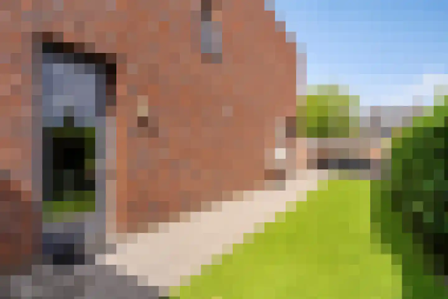 De Werf 147 Tilburg thumbnail 42