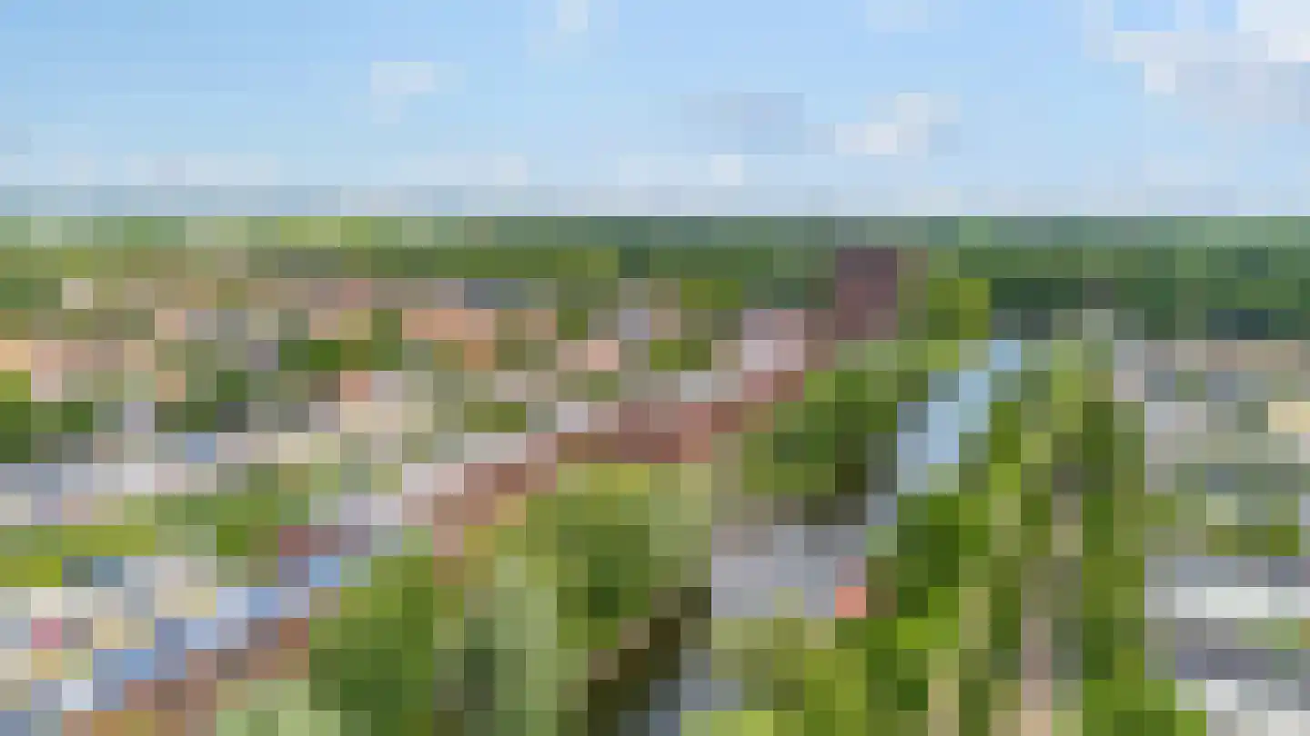 De Werf 147 Tilburg thumbnail 50