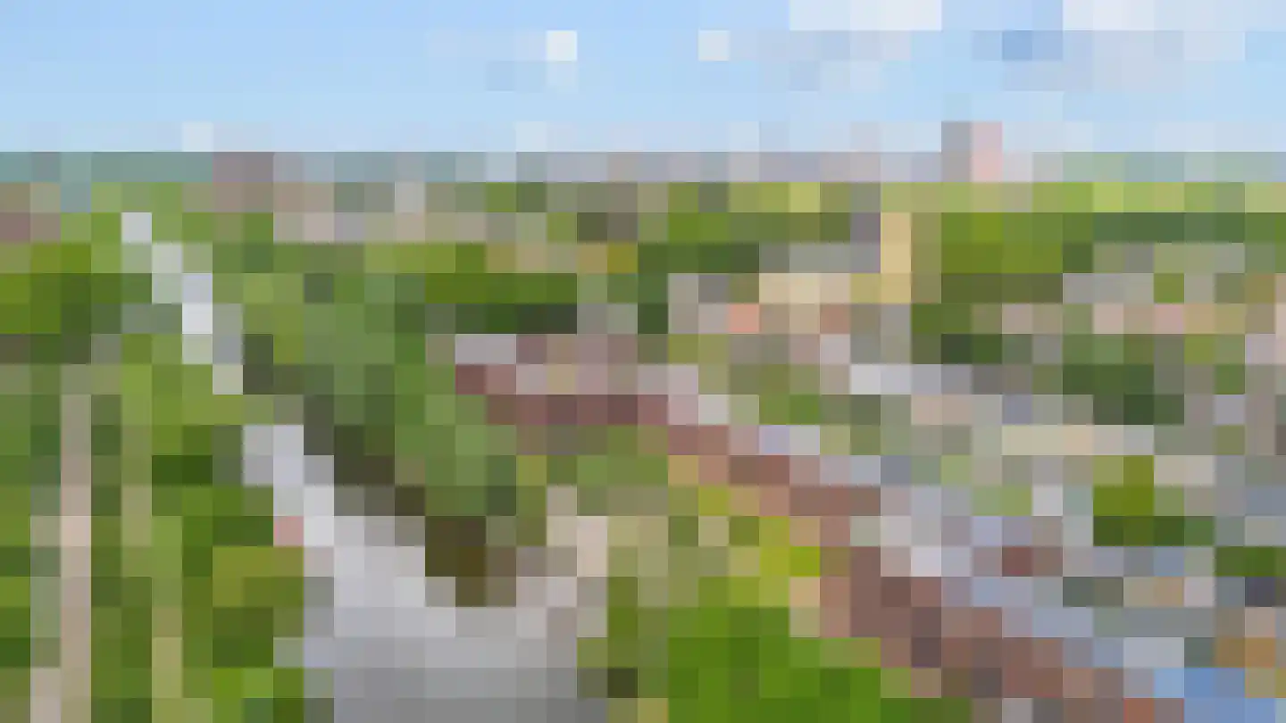 De Werf 147 Tilburg thumbnail 51