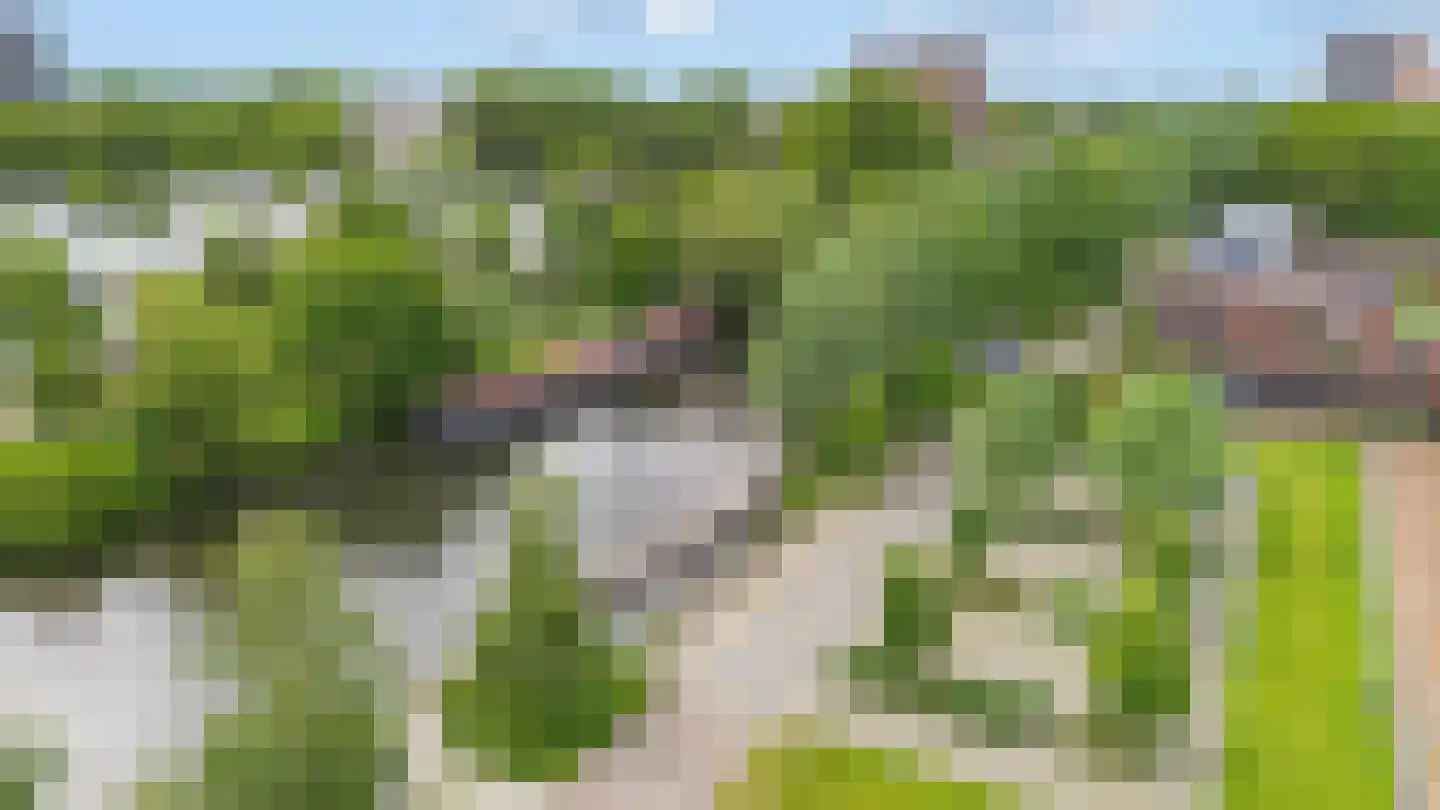 De Werf 147 Tilburg thumbnail 53