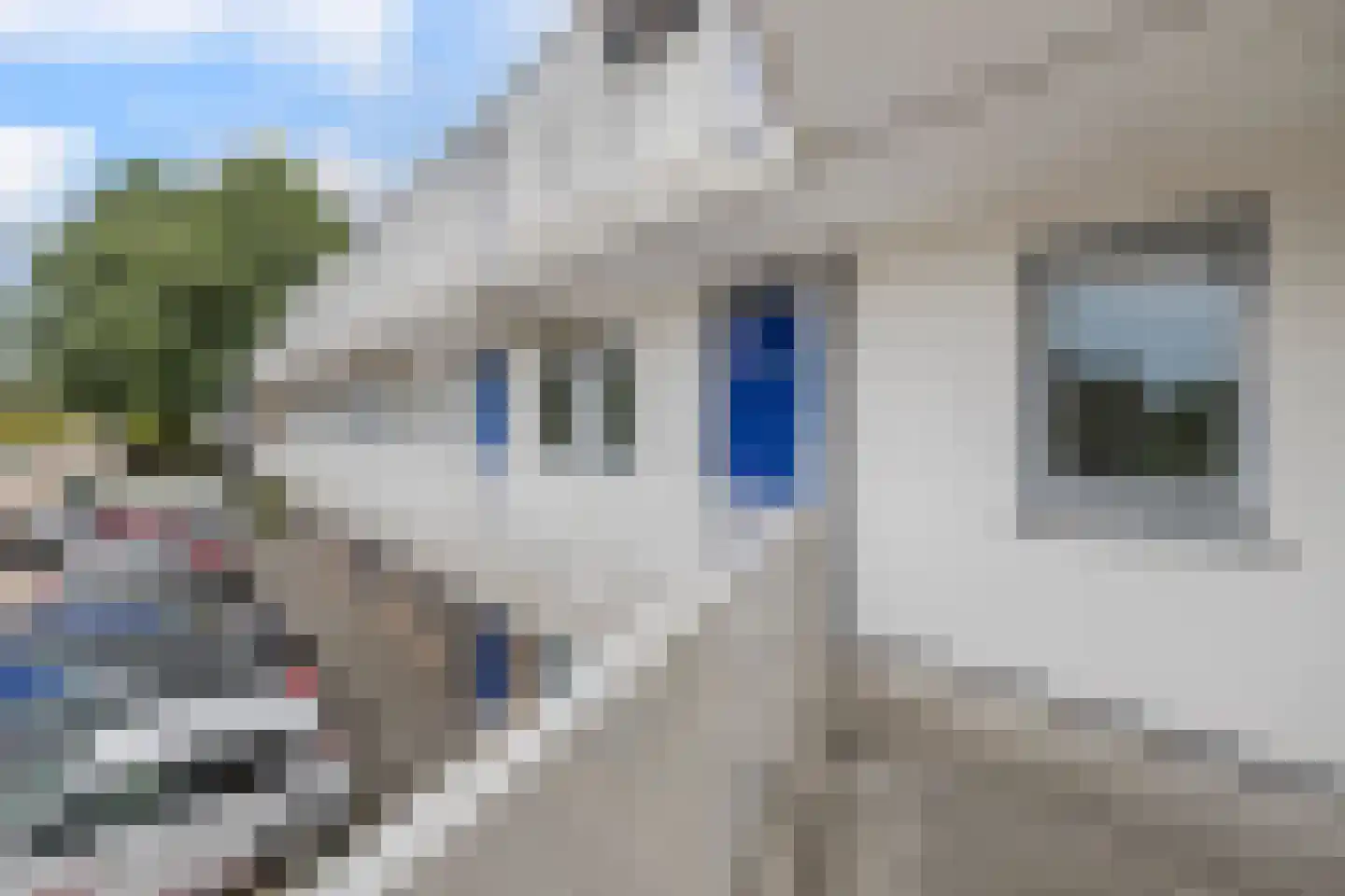 De Werf 15 Bodegraven thumbnail 12