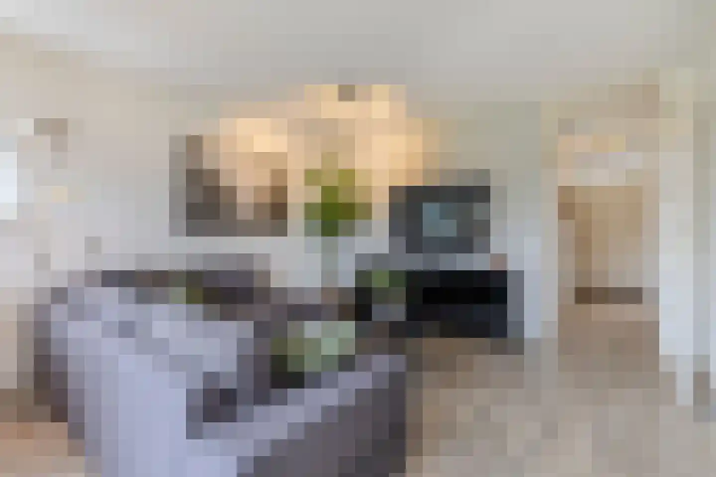 De Werf 15 Bodegraven thumbnail 17