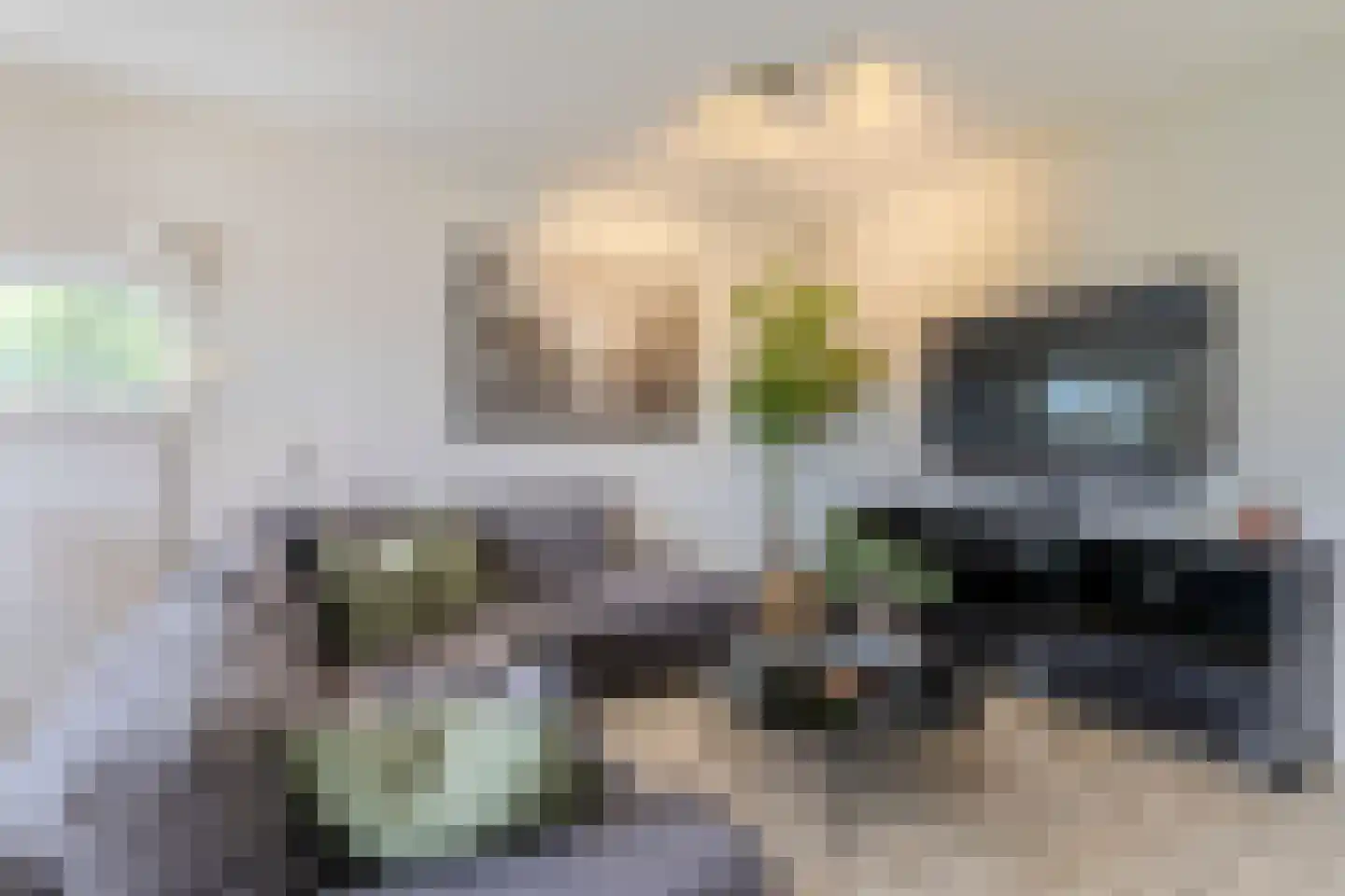 De Werf 15 Bodegraven thumbnail 18