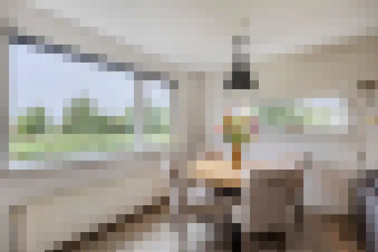 De Werf 15 Bodegraven thumbnail 19