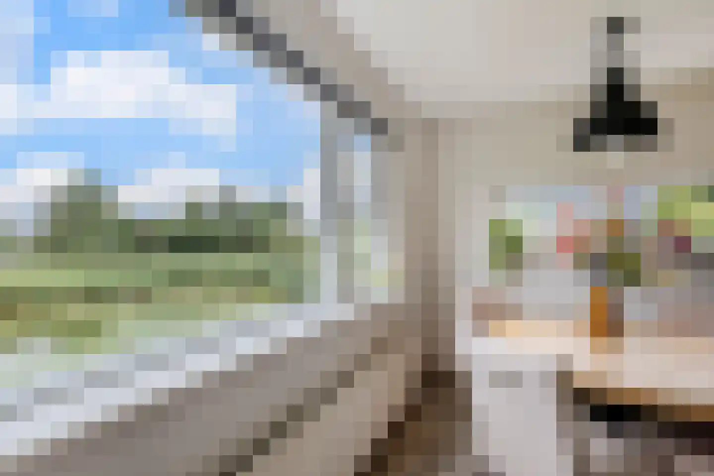 De Werf 15 Bodegraven thumbnail 20