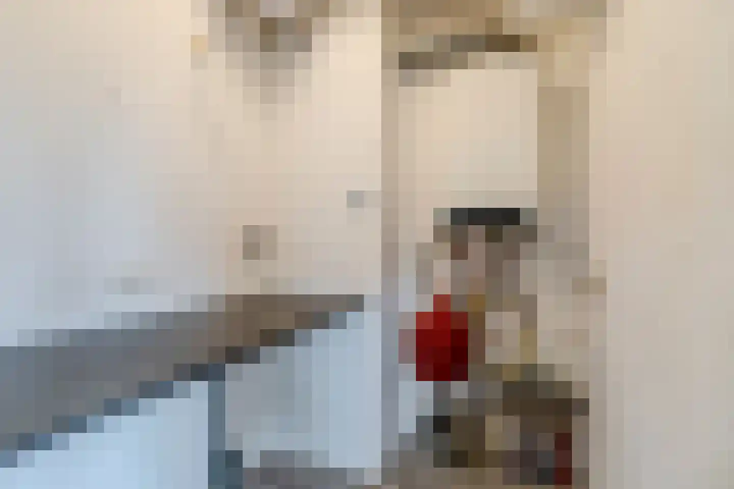 De Werf 15 Bodegraven thumbnail 29
