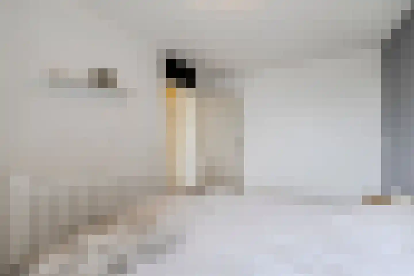 De Werf 15 Bodegraven thumbnail 33