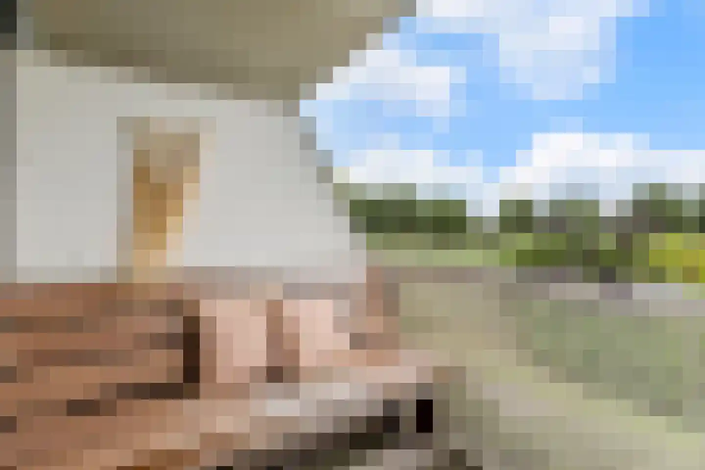 De Werf 15 Bodegraven thumbnail 41