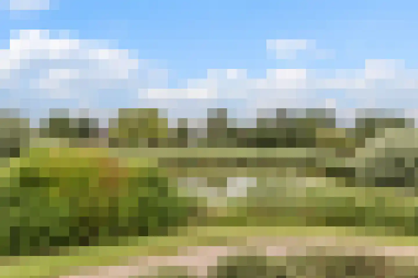 De Werf 15 Bodegraven thumbnail 42