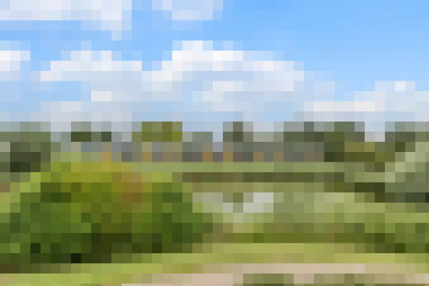 De Werf 15 Bodegraven thumbnail 43