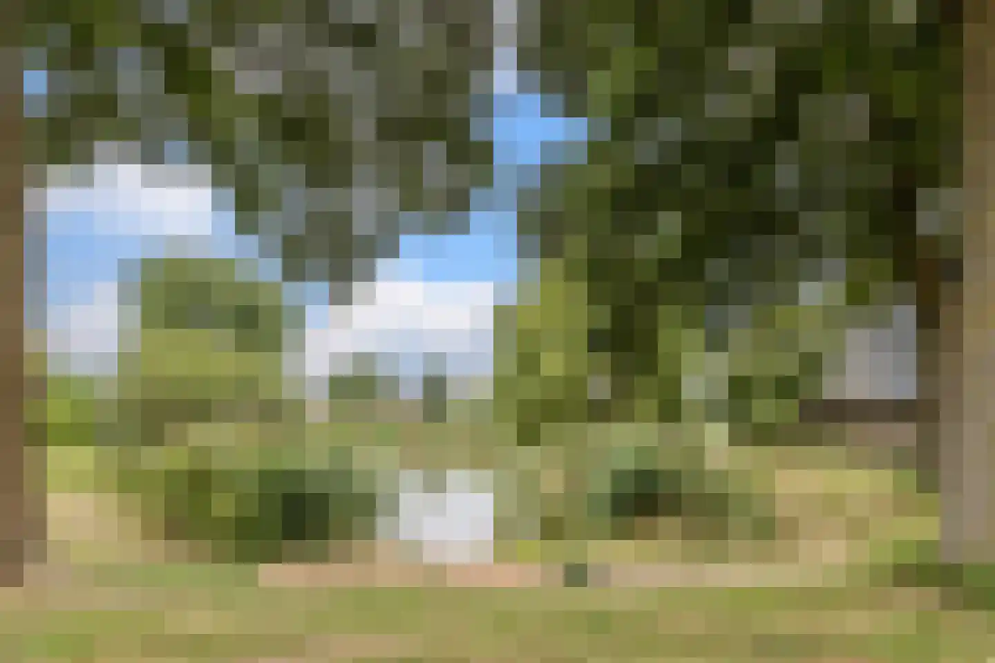 De Werf 15 Bodegraven thumbnail 47