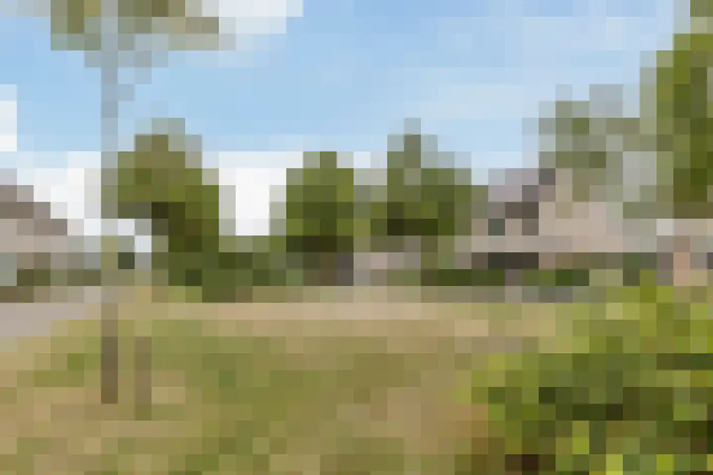 De Werf 15 Bodegraven thumbnail 48