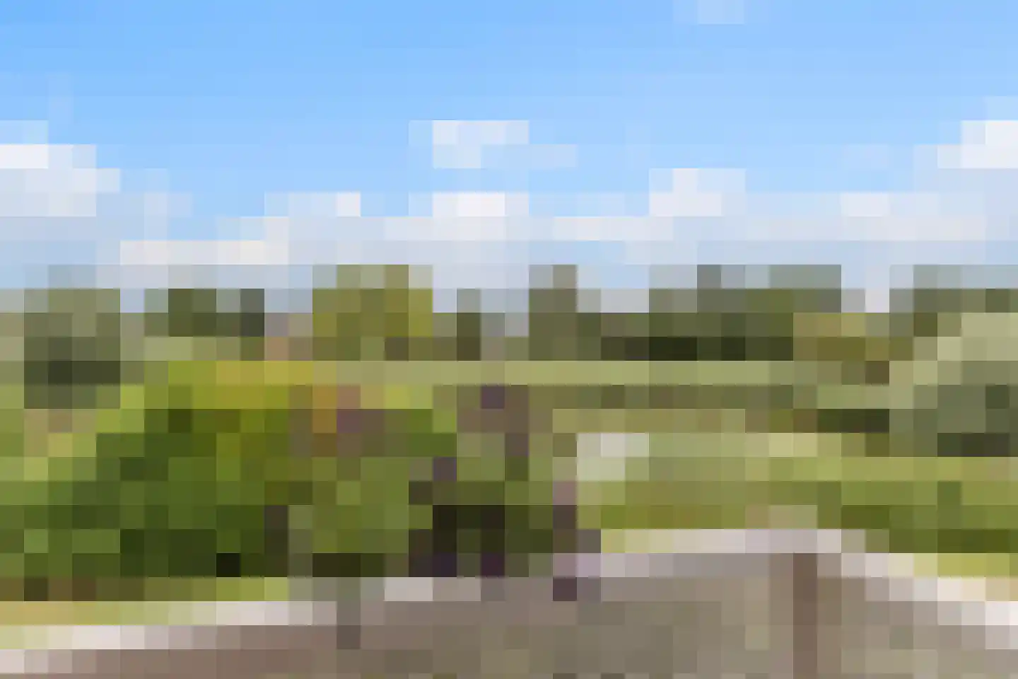 De Werf 15 Bodegraven thumbnail 6