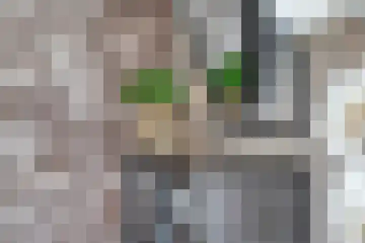 De Werf 167 dans Tilburg