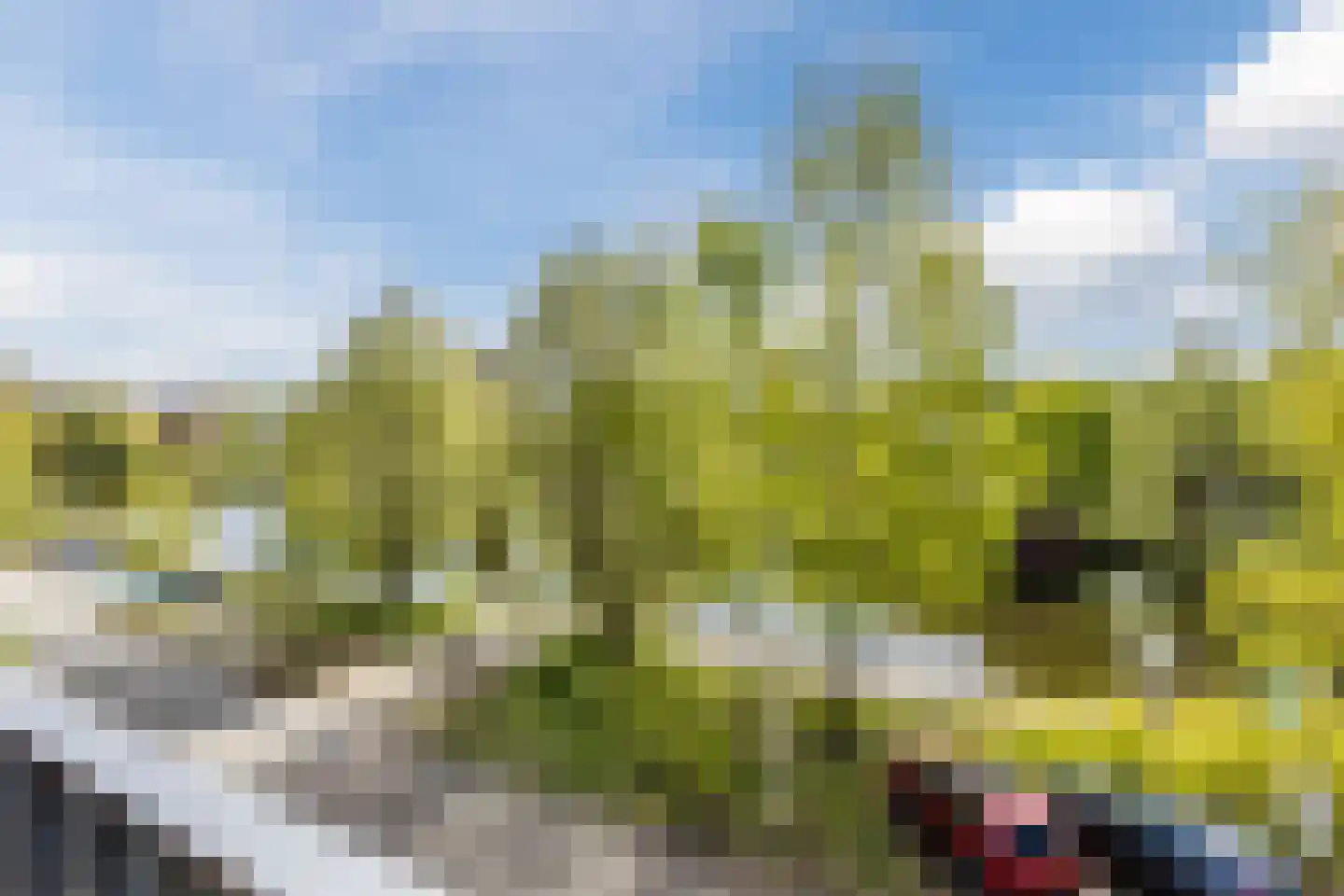 De Werf 167 Tilburg thumbnail 26