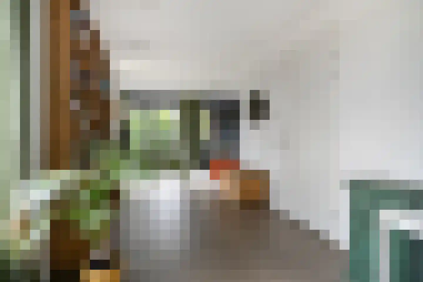De Werf 169 Tilburg thumbnail 14