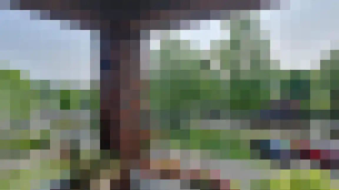 De Werf 169 Tilburg thumbnail 18
