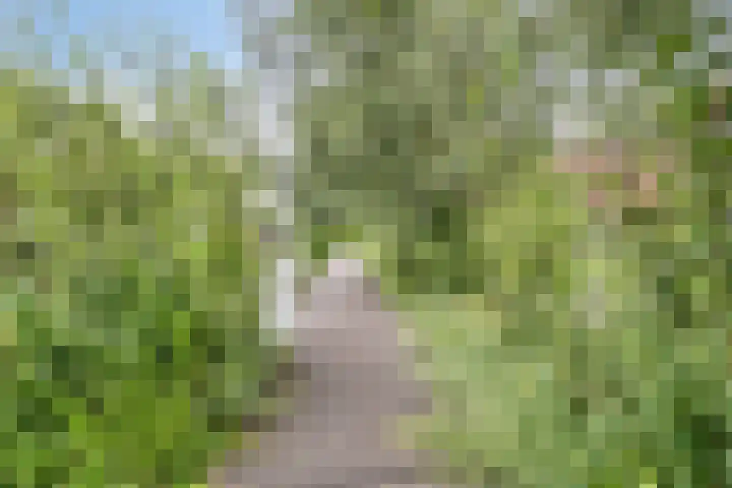 De Werf 169 Tilburg thumbnail 30