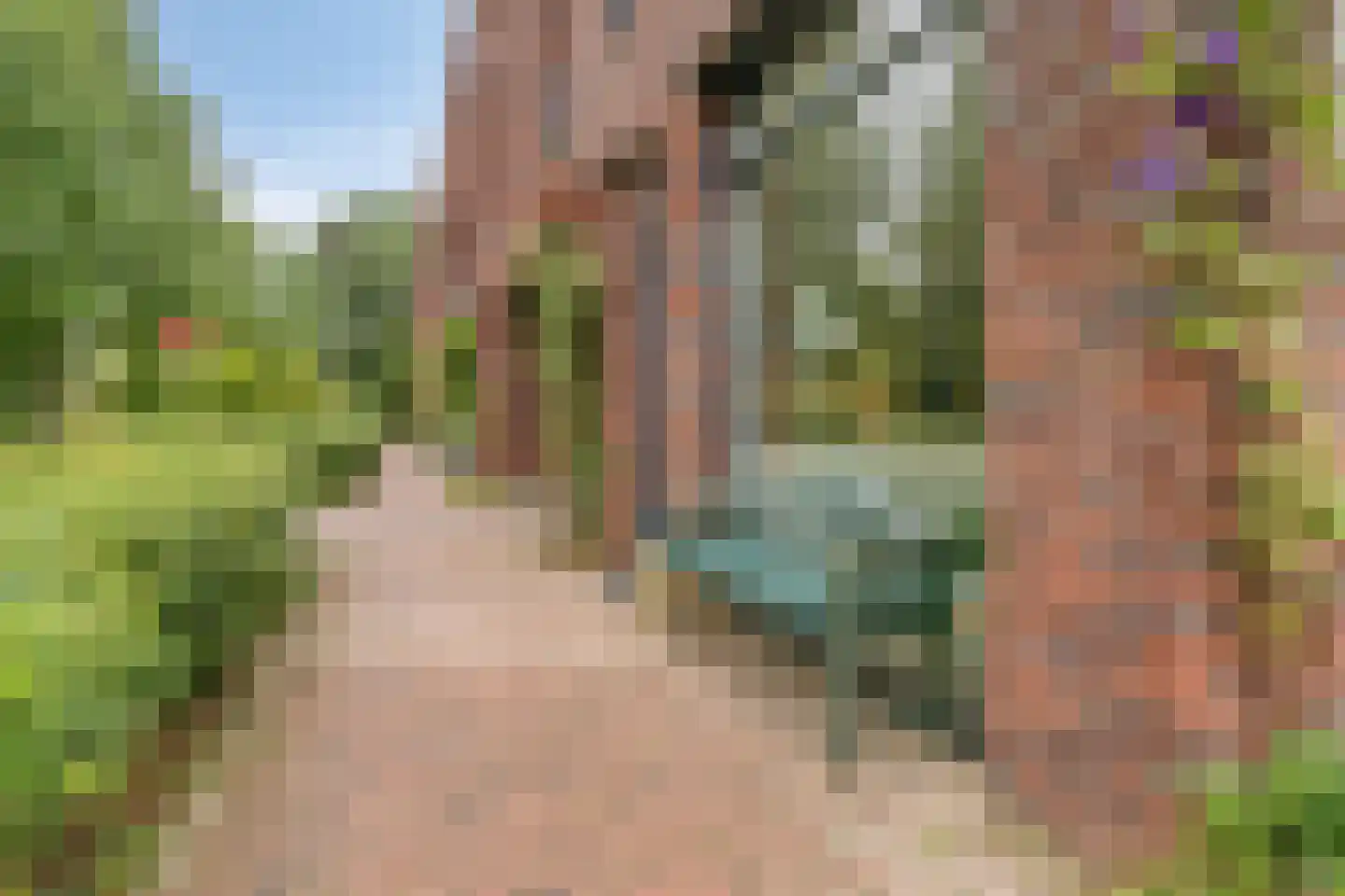 De Werf 169 Tilburg thumbnail 6