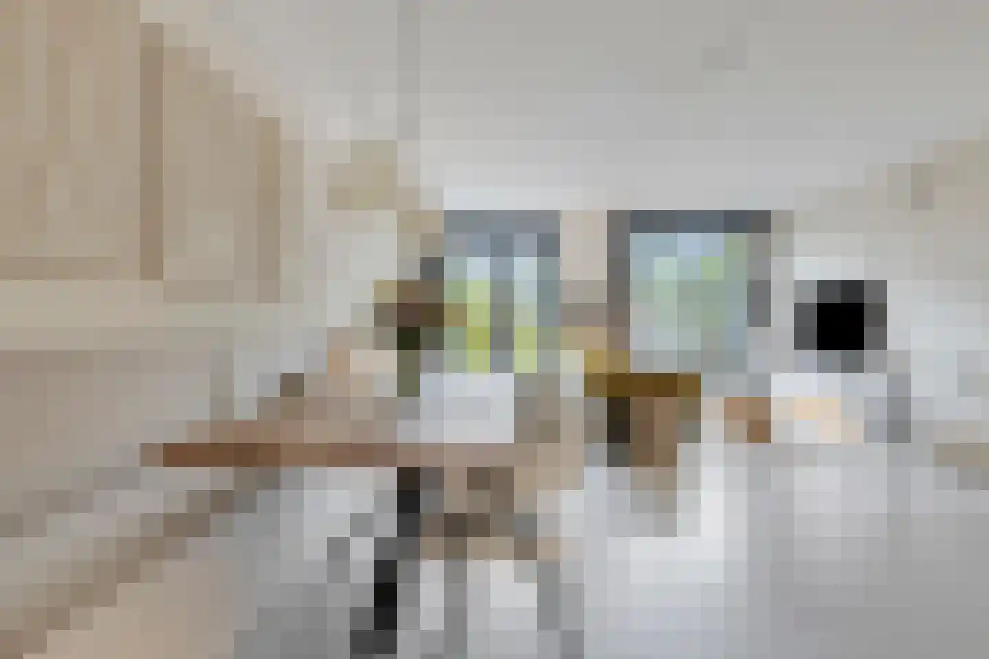 De Werf 195 Tilburg thumbnail 13