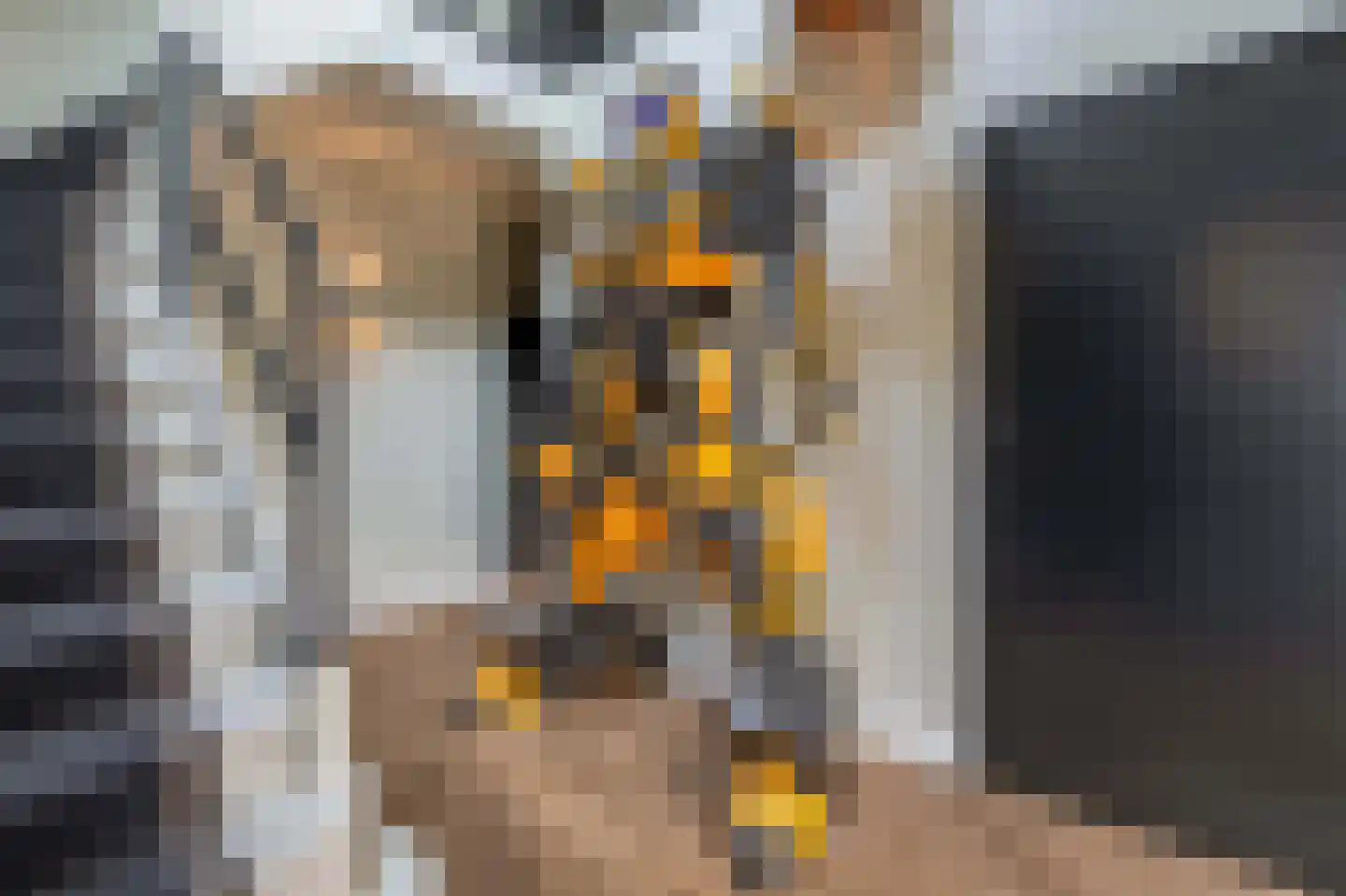 De Werf 5 Lekkerkerk thumbnail 10
