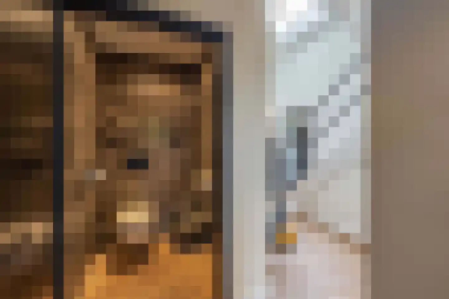 De Werf 5 Lekkerkerk thumbnail 11