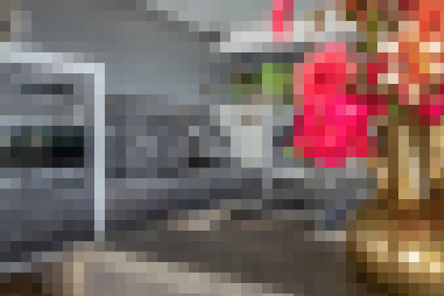 De Werf 5 Lekkerkerk thumbnail 19