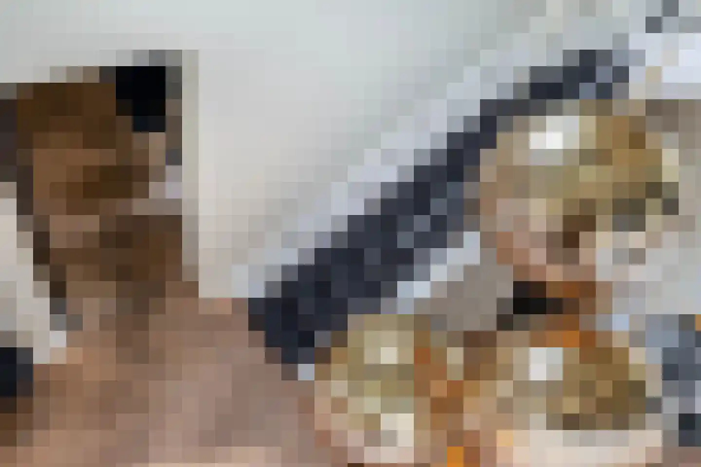De Werf 5 Lekkerkerk thumbnail 24