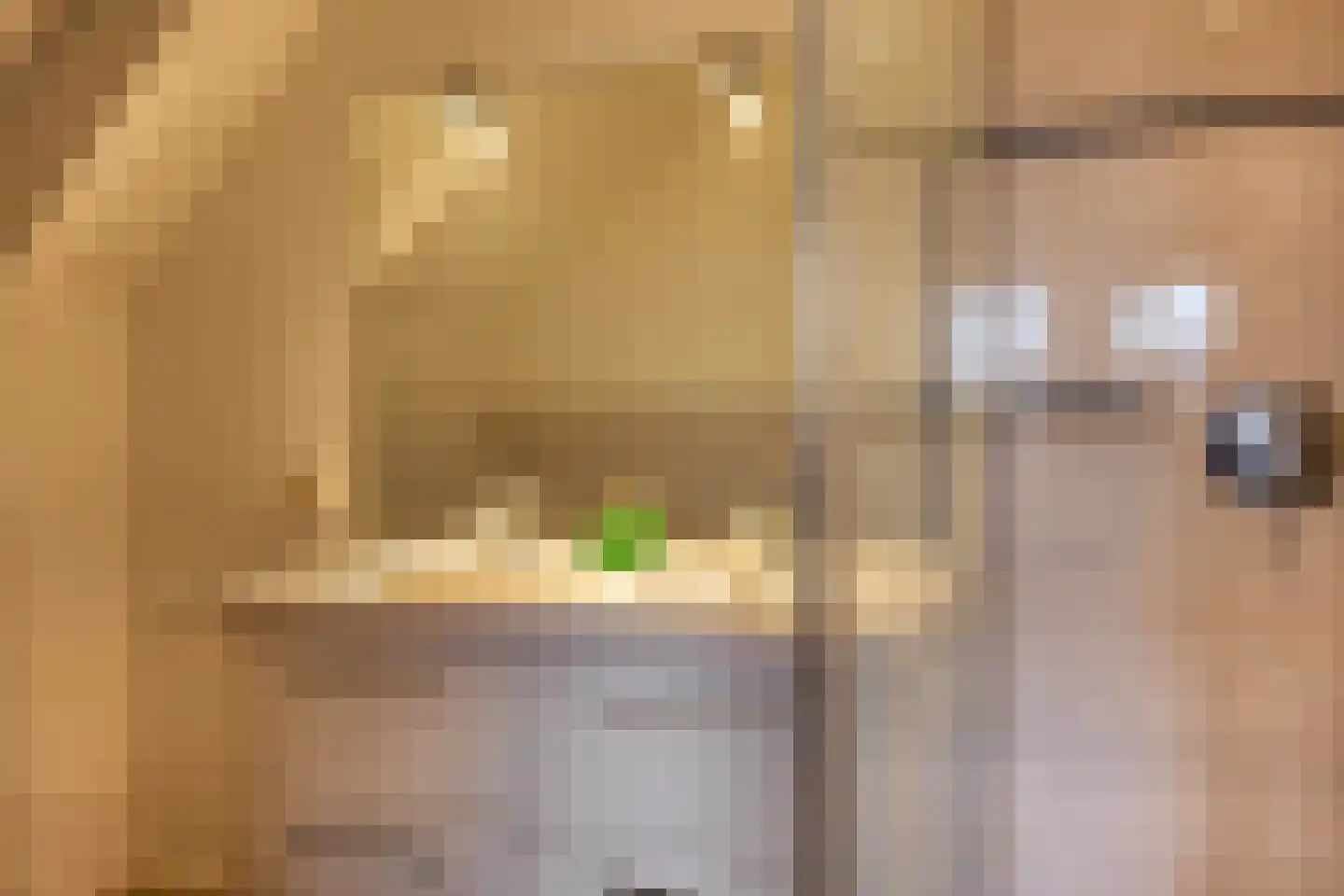 De Werf 5 Lekkerkerk thumbnail 33