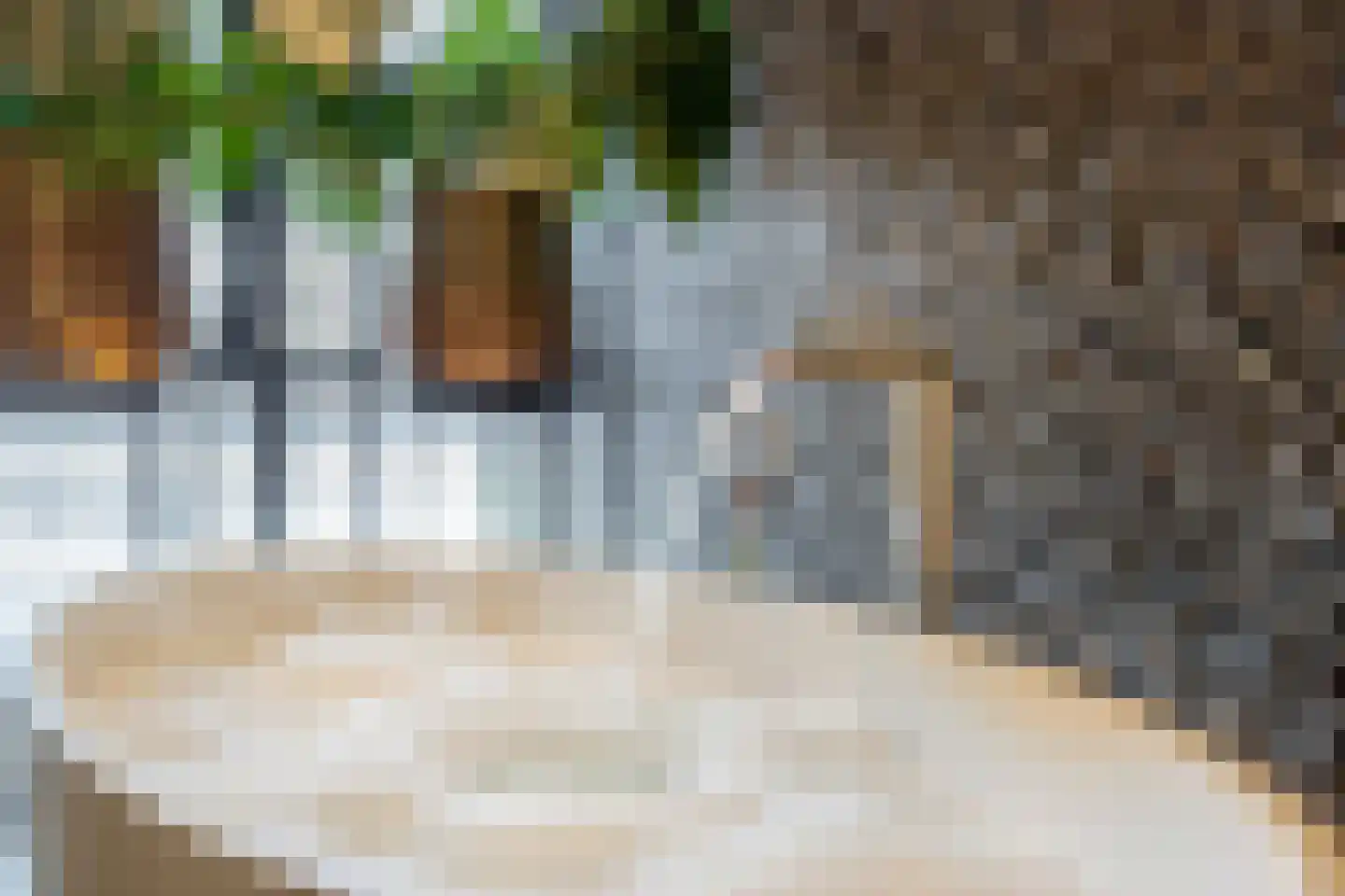 De Werf 5 Lekkerkerk thumbnail 4