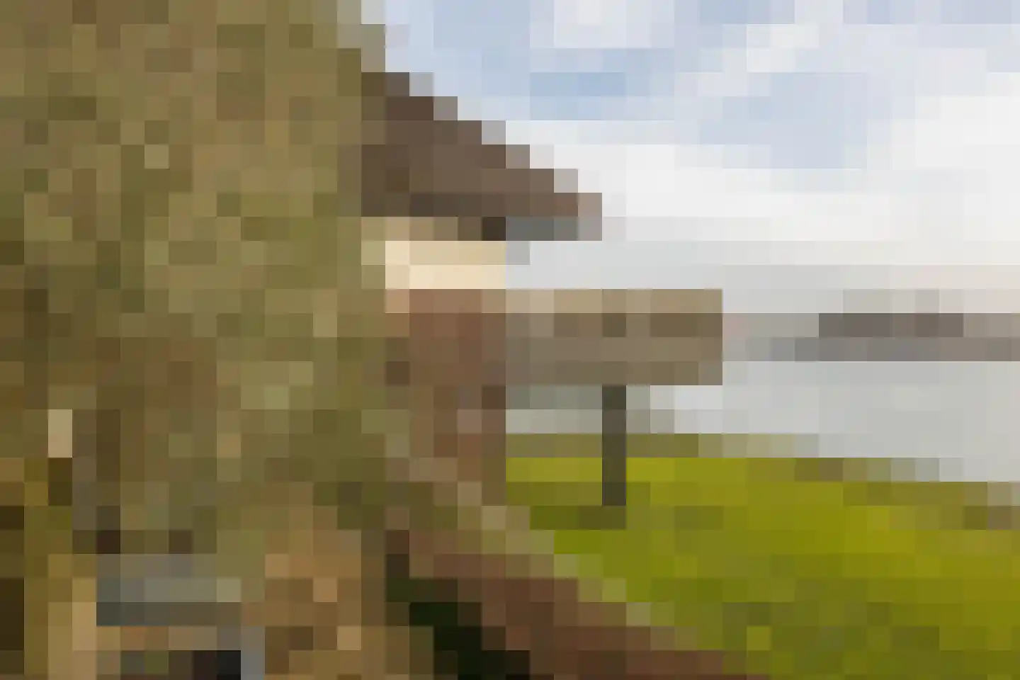 De Werf 5 Lekkerkerk thumbnail 41