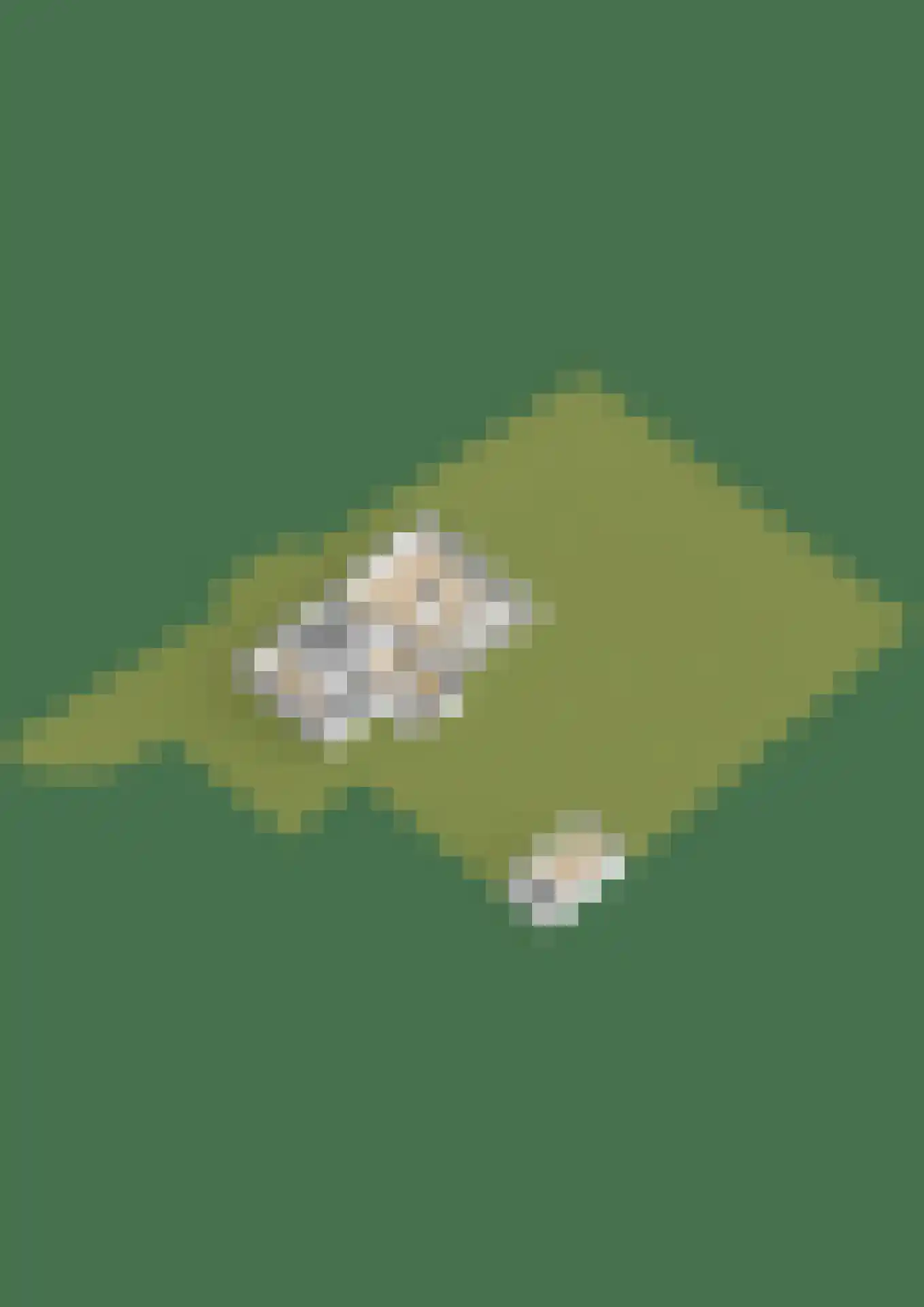 De Werf 5 Lekkerkerk thumbnail 59