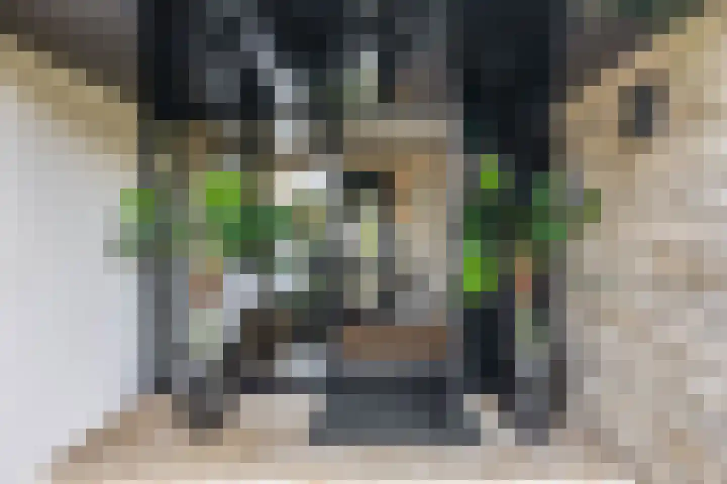 De Werf 5 Lekkerkerk thumbnail 7