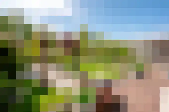 De Werf 71 Bodegraven thumbnail 17