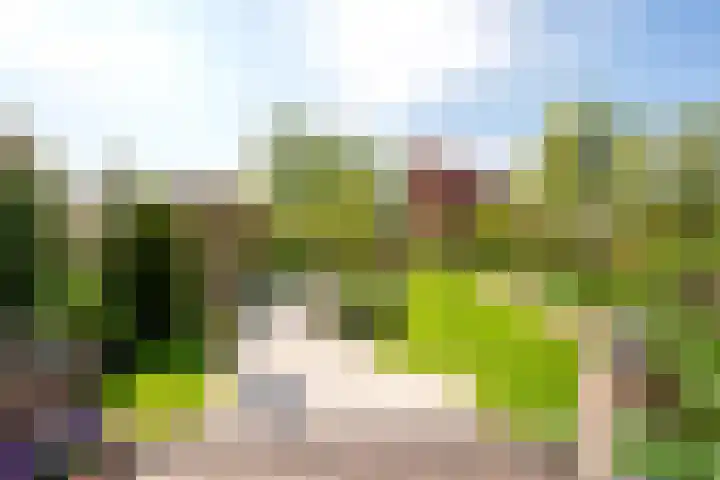 De Werf 71 Bodegraven thumbnail 18