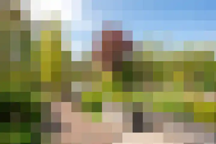 De Werf 71 Bodegraven thumbnail 19