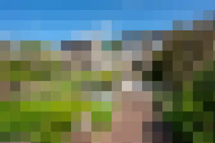 De Werf 71 Bodegraven thumbnail 21