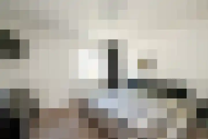 De Werf 71 Bodegraven thumbnail 23