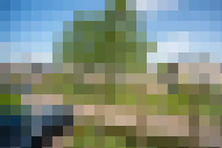 De Werf 71 Bodegraven thumbnail 25