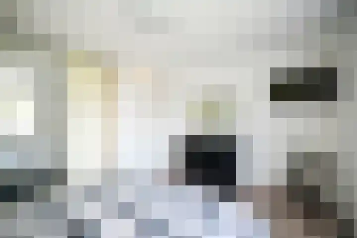 De Werf 71 Bodegraven thumbnail 26