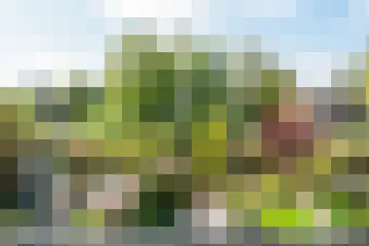 De Werf 71 Bodegraven thumbnail 28