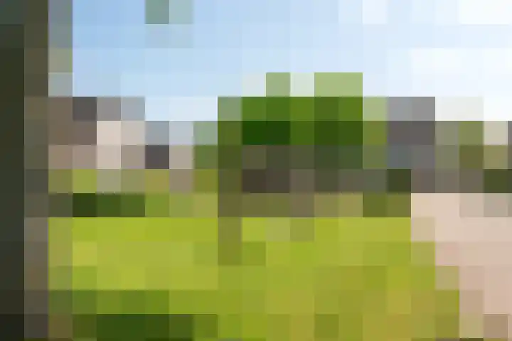 De Werf 71 Bodegraven thumbnail 40