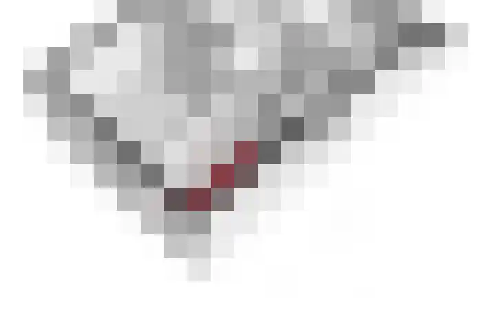 De Werf 71 Bodegraven thumbnail 46