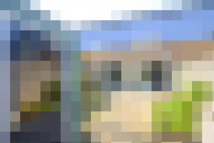 de Werf 8 Schagen thumbnail 11