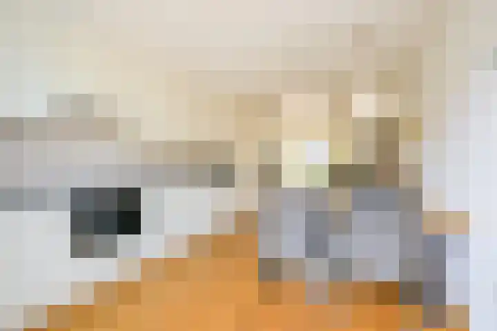 de Werf 8 Schagen thumbnail 12