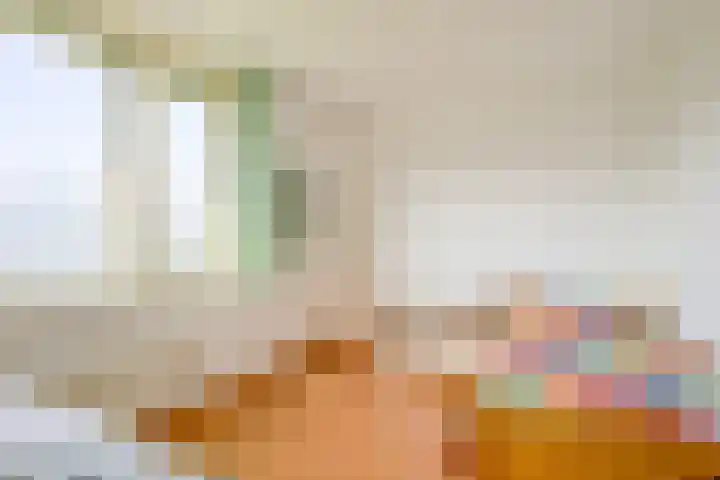 de Werf 8 Schagen thumbnail 23